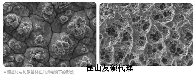 金山蔡司金山扫描电镜